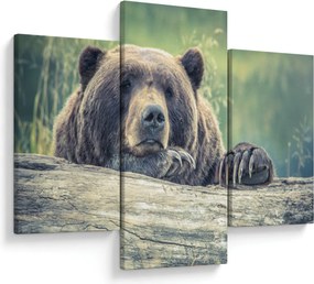 Tablou cu urs (90x60 cm)