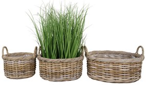 Coșuri Kuta, kubu rattan, naturale 3db