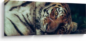 Tablou - Tigrul Siberian (cu ceas) (90x30 cm)