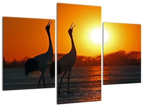 Tablou cu păsări în apus de soare (90x60 cm)