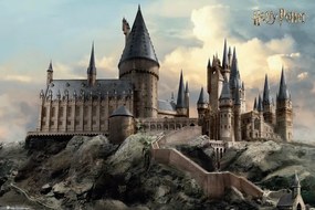 Poster Harry Potter - O zi la Hogwarts, (91.5 x 61 cm)