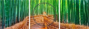 Tablou - Pădure de bambus japoneză (cu ceas) (90x30 cm)
