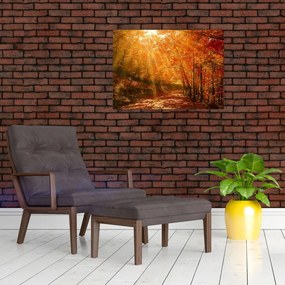 Tablou pe sticlă cu pădurea în toamnă (70x50 cm)