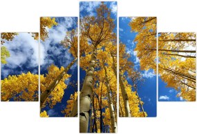 Tablou - Aspen (150x105 cm)