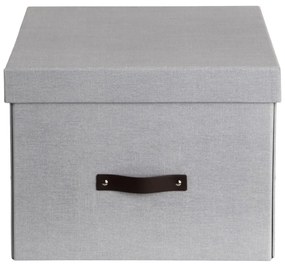 Cutie de depozitare din carton cu capac Tora – Bigso Box of Sweden