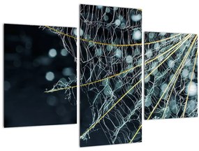 Tablou - Floare cu pânză de pâianjen (90x60 cm)