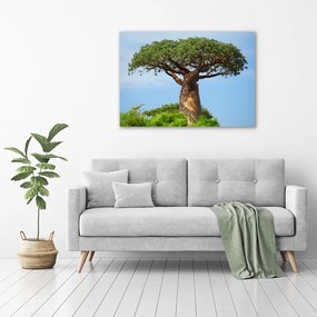 Tablou pe pânză canvas Baobab