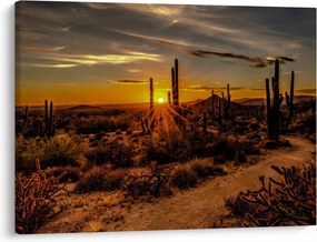 Tablou - Sfărșit de zi în deșertul Arizona (70x50 cm)