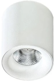 Spot LED aplicat tavan/plafon MANE alb 4000K