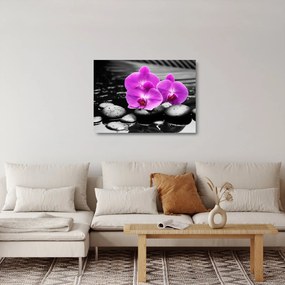 Tablou pe sticlă - Orhidee violet (70x50 cm)