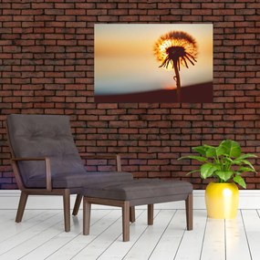 Tablou - Păpădie la apus de soare (90x60 cm)
