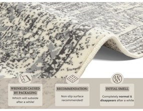 Covor Hanse Home Celebration Plume, 200x290 cm, gri-crem