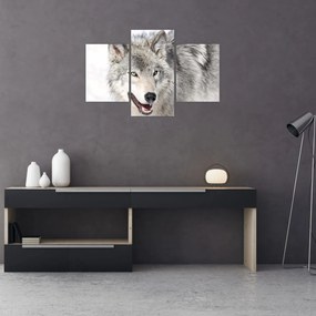 Tablou - Lupul în natură (90x60 cm)