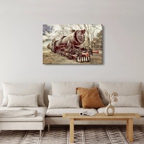 Tablou cu locomotivă istorică (90x60 cm)