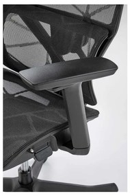 Scaun de birou Amari, negru
