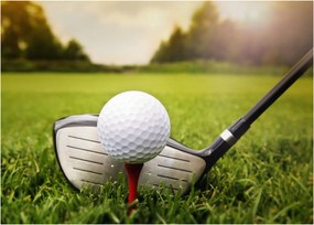 Tablou - Golf (70x50 cm)