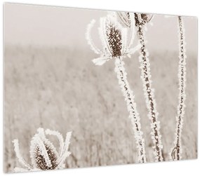 Tablou pe sticlă - Ciulinul în timpul iernii (70x50 cm)