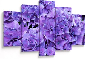 Tablou cu flori violete (150x105 cm)