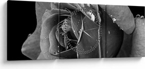 Tablou cu trandafir - albneagră (cu ceas) (90x30 cm)