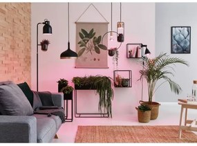 Lustră pe cablu Paulmann 79749 1xGU10/20W FANJA 230V