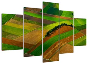 Tablou - Lan, luncile (150x105 cm)