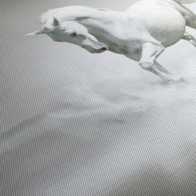 Tablou - Cal alb (90x60 cm)