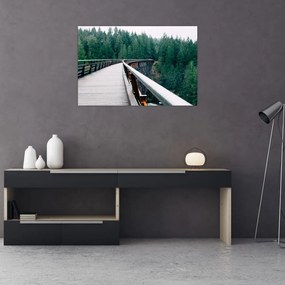 Tablou - Pod spre vârfurile copacilor (90x60 cm)
