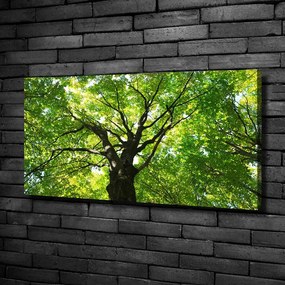 Tablou pe pânză canvas Pădure verde