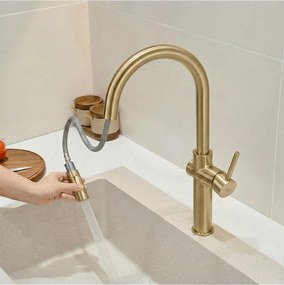 Baterie bucatarie Rea Fresh auriu periat