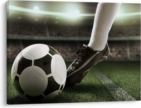 Tablou - Minge de fotbal (70x50 cm)