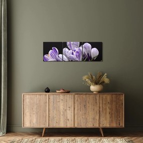 Tablou - Crocus violet (cu ceas) (90x30 cm)