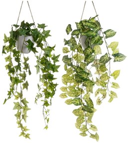 Plante artificiale 2 buc. (înălțime 55 cm) – Casa Selección