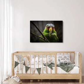 Tablou cu papagal (90x60 cm)
