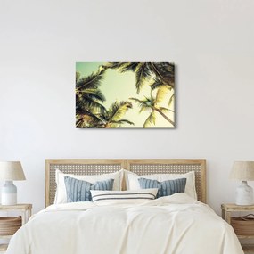 Tablou - Palmieri de cocos (90x60 cm)