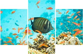 Tablou lumii submarine (90x60 cm)
