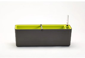 Ghiveci cu auto-irigare Berberis 60, antracit + verde, 60 cm