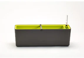 Ghiveci cu auto-irigare Berberis 60, antracit + verde, 60 cm