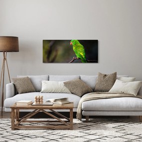Tablou cu papagal pe greangă (120x50 cm)
