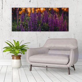 Tablou - Flori de lupin (120x50 cm)