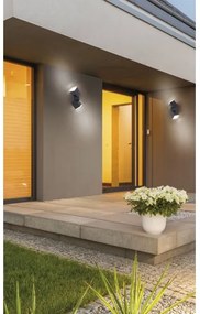 Aplică LED de exterior RYAN 2xLED/5W/230V IP54 Paul Neuhaus 9722-13