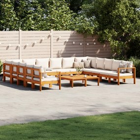 3214855 vidaXL Set de canapele de grădină cu perne 10 piese lemn masiv acacia