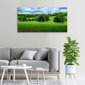 Tablou pe pânză canvas Dealuri verzi