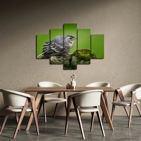 Tablou - Muscarul (150x105 cm)