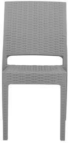 Set scaune 2 buc. Fossil (gri deschis). 1011528