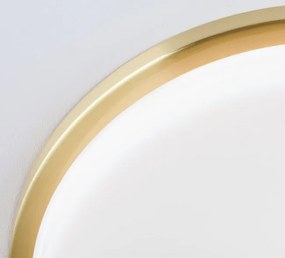 Plafoniera LED moderna LEROX 40cm alama mat