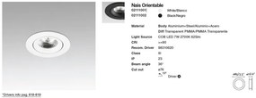 Spot LED incastrabil pentru tavan / plafon orientabil NAIS alb