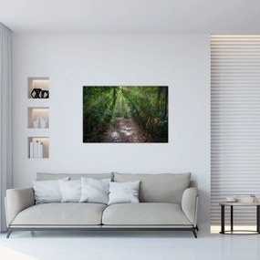 Tablou - Razele solare în junglă (90x60 cm)