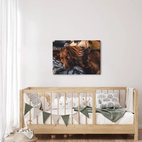 Tablou cu câini dormind (70x50 cm)