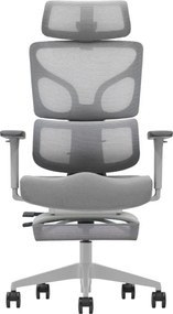 AEROFORM PRO – Scaun Ergonomic Premium, Suport Lombar cu arc, Cotiere 3D, Tetieră reglabilă, Șezut Glisant, Suport pentru picioare extensibil, Gri