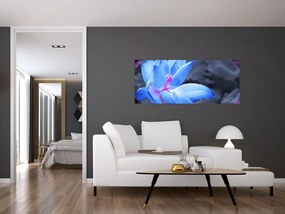 Tablou florilor în detailu (120x50 cm)